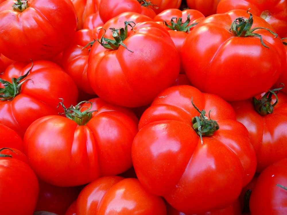 Российский врач рекомендует есть помидоры, чтобы предотвратить рак