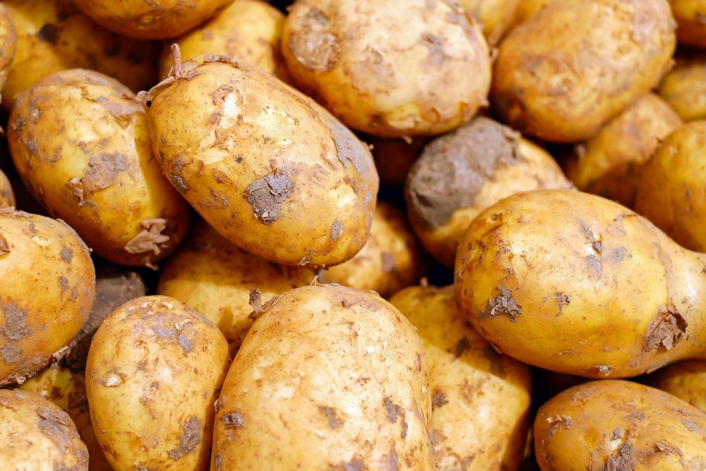В Ростовской области заявили об обрушении цен на картофель с конца июня