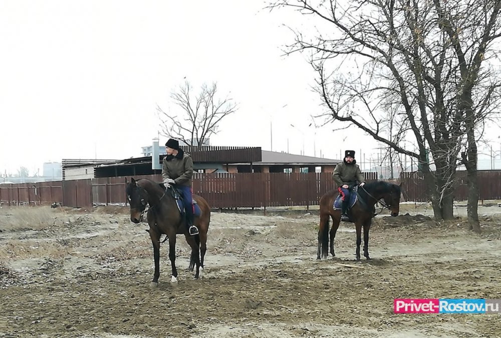 Казаки на лошадях начали патрулировать трассу М-4 «Дон» в Ростовской области с 1 июля