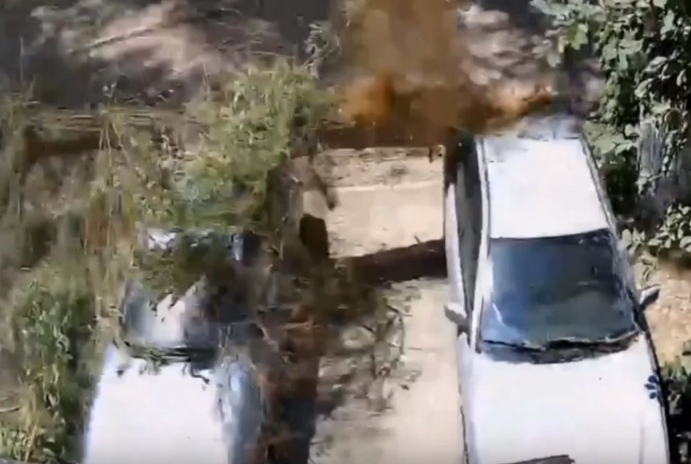 В Ростове-на-Дону дерево рухнуло на автомобили