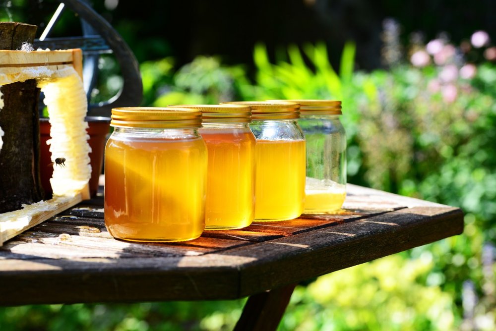В Ростовской области обнаружили мед со следами антибиотиков в июле в 2022 году