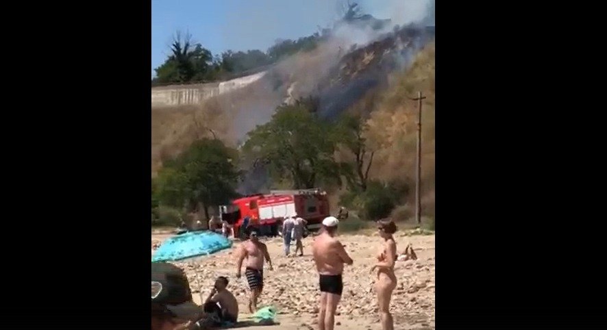 Любители шашлыков устроили пожар и подожгли пляж в Ростовской области