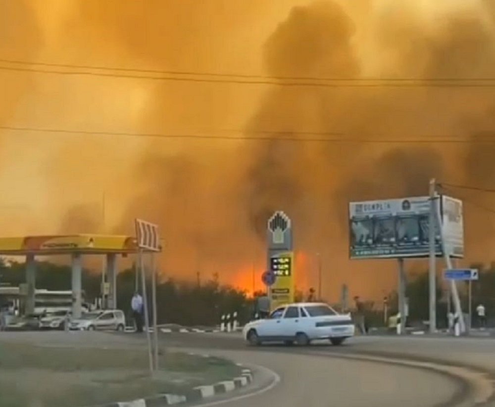 Жители Ростовской области заявили, что напуганы из-за сильных лесных пожаров в августе