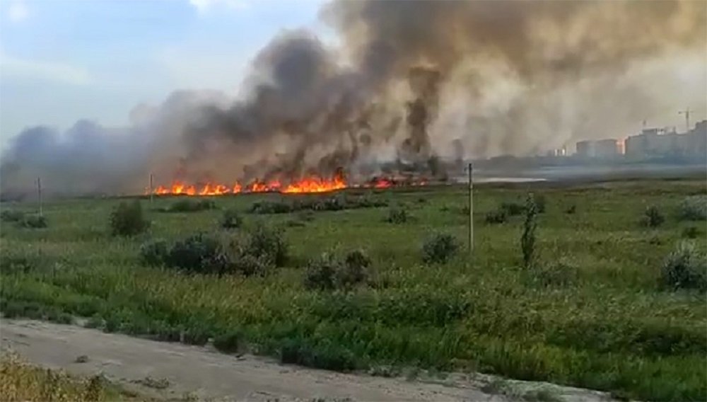 Губернатор Голубев заявил, что Ростовская область сгорает из-за поджогов неизвестными лицами