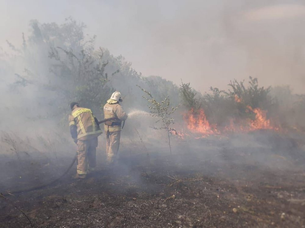 Эвакуация жителей началась в Ростовской области из-за масштабных лестных пожаров