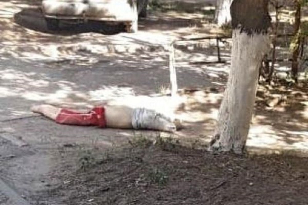 Искусственное тело покойника под деревом напугало жителей в Азове