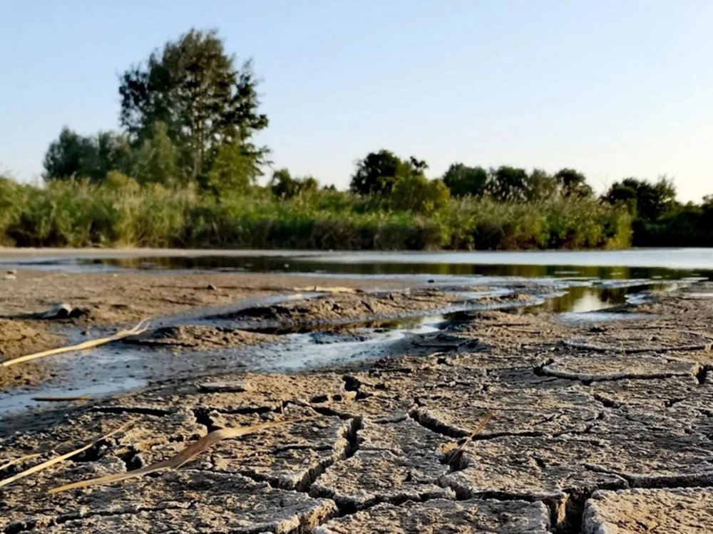 Река Хомутец полностью высохла на юге в Ростовской области