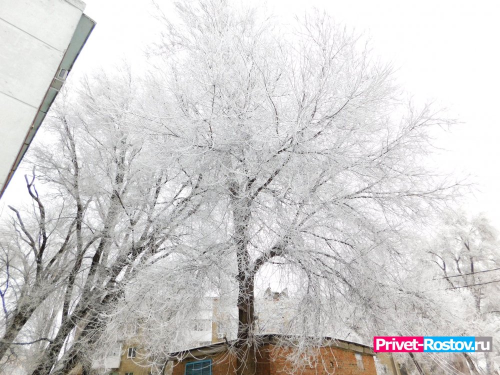 Еще четыре дня в Ростовской области температура будет падать до –2 градусов