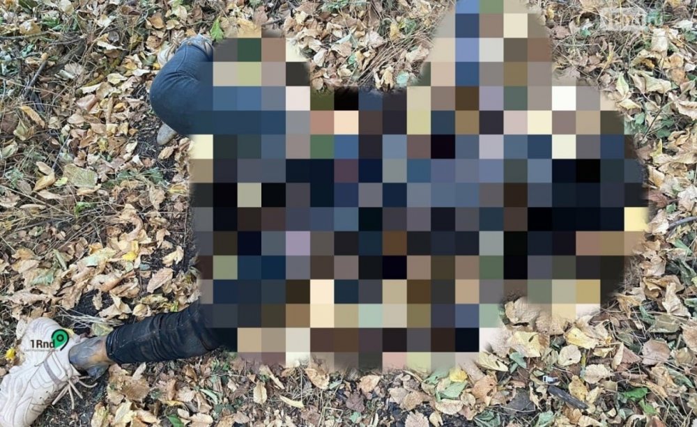Обезображенное тело молодой девушки обнаружено в лесополосе около Ростова-на-Дону