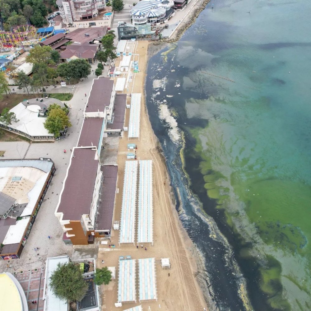 "Море стало черным болотом": туристов шокировало состояние пляжей в Анапе