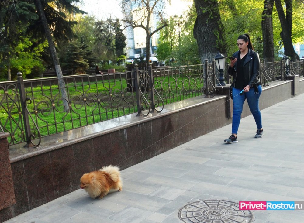 Ростовчанам запретят выгуливать собак в парках