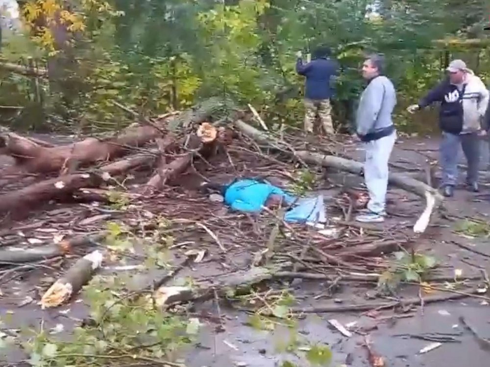 «Пункт назначения»: в Ростовской области женщину убило упавшим деревом
