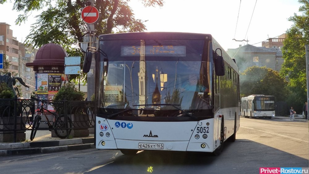 По улицам городов в Ростовской области пойдут электробусы
