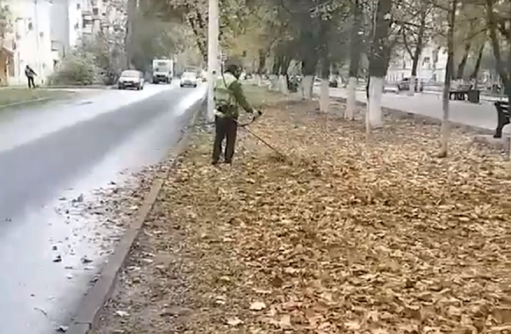 В Новочеркасске сняли на видео как коммунальщики косят несуществующую траву в ноябре