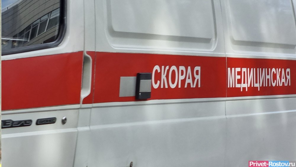 В Ростовской области столкнулись микроавтобус и грузовик, погибли два человека