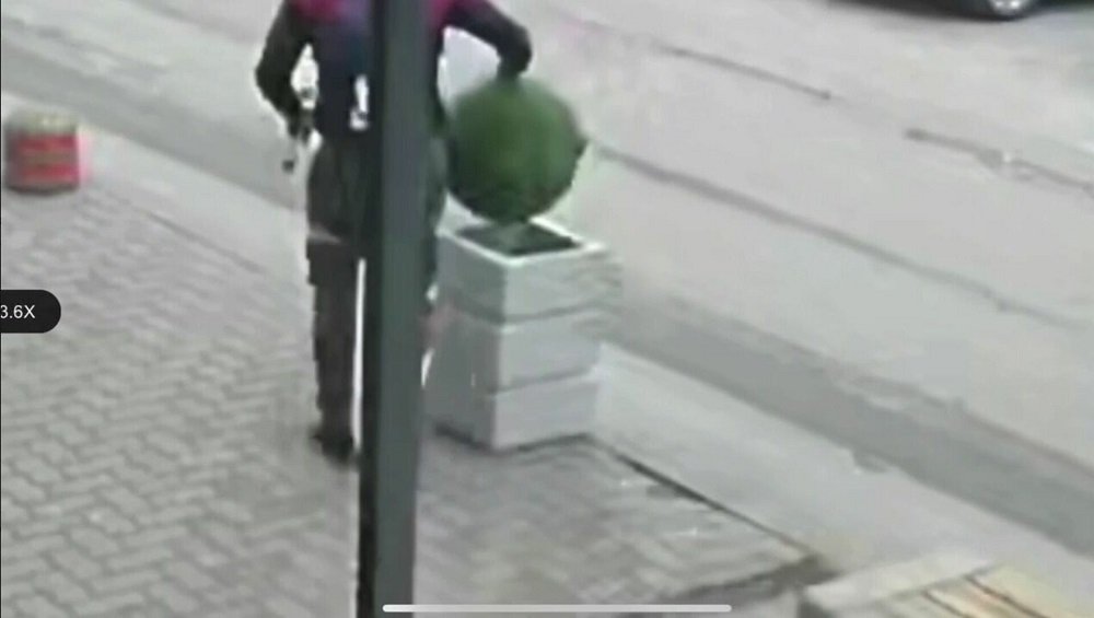 В Ростове мужчина, вооруженный автоматом, украл камни и куст в переулке Университетском