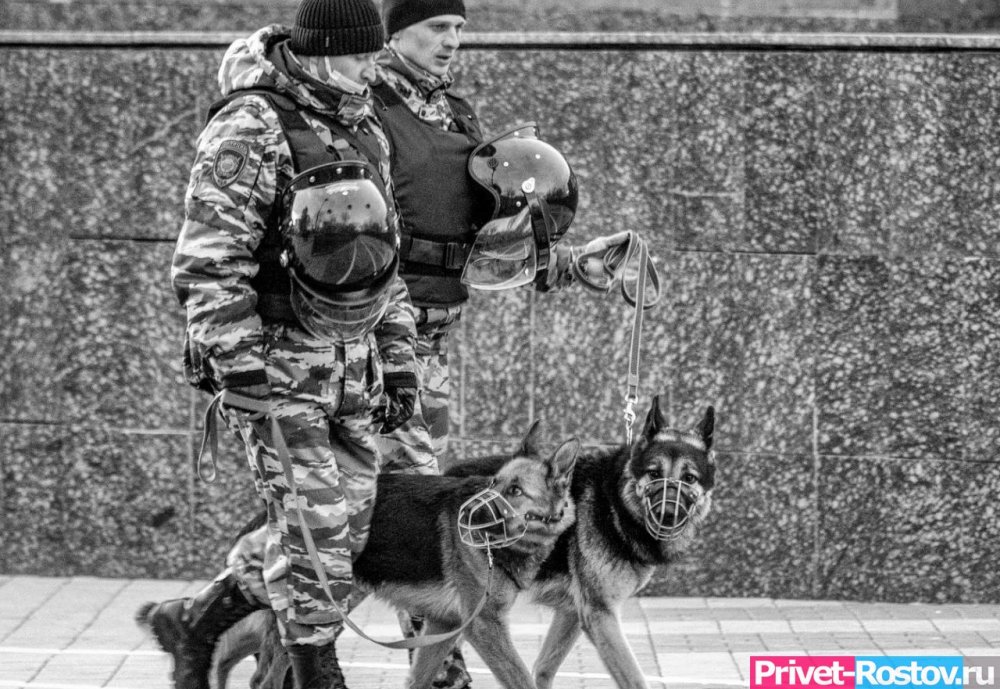 В Ростове-на-Дону полицейских и спасателей во время праздников переведут на усиленный режим службы