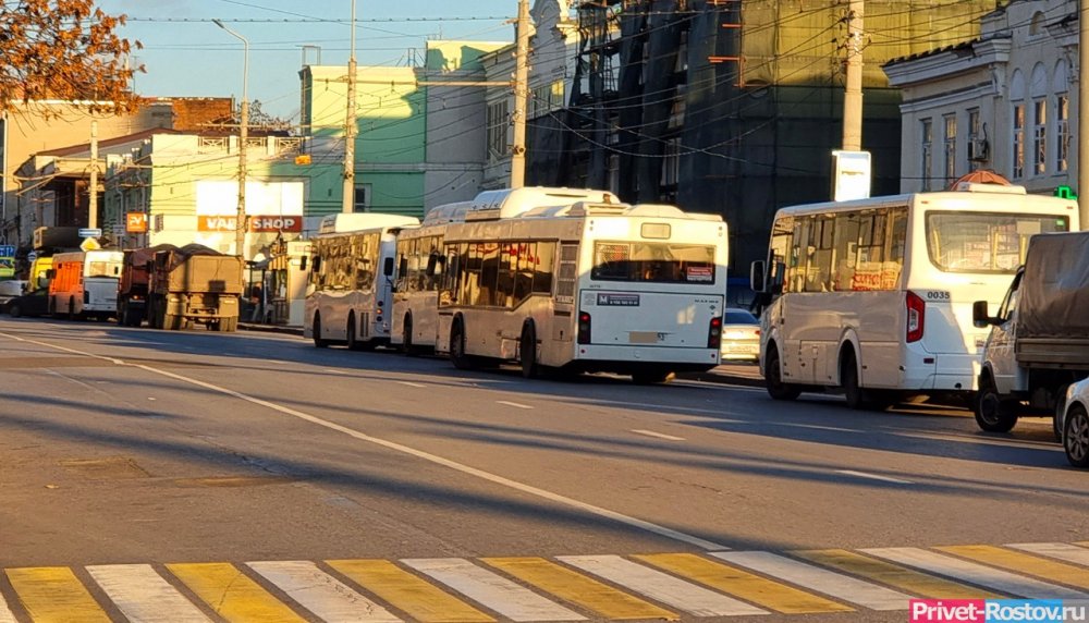 В Ростове уволили водителя автобуса, справившего нужду прямо из салона на дорогу