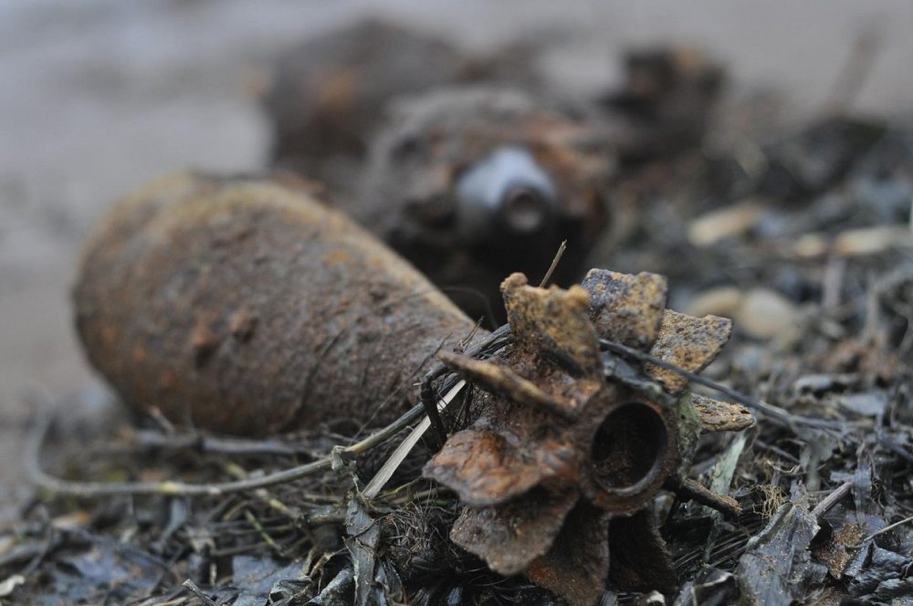 В Ростовской области нашли и обезвредили больше 330 взрывчаток с начала 2022 года