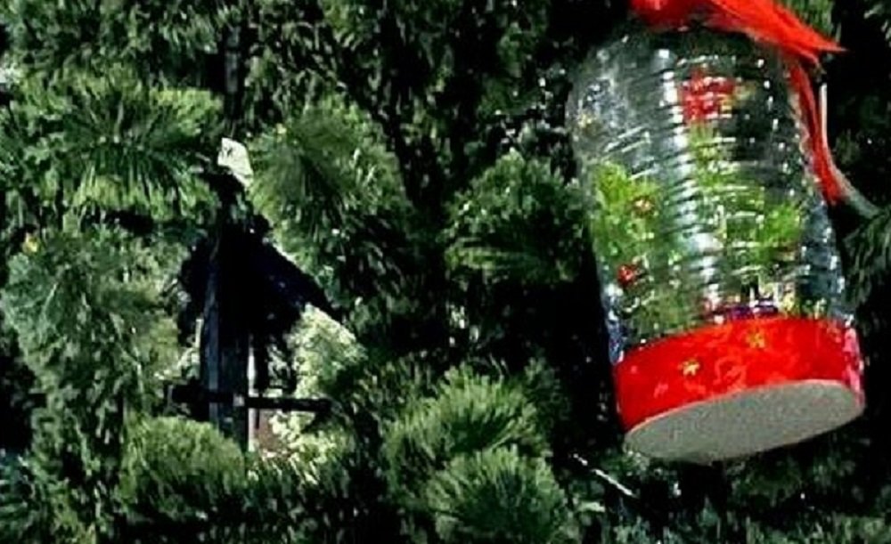 В Ростовской области главную ель украсили пятилитровыми пластиковыми бутылками