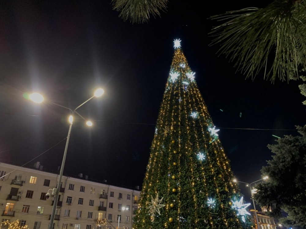 В центре в Ростове-на-Дону включили гирлянды на главной городской елке с 11 декабря