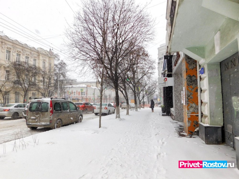 Ждать ли снега на Новый год в Ростове рассказала синоптик Елена Назарова