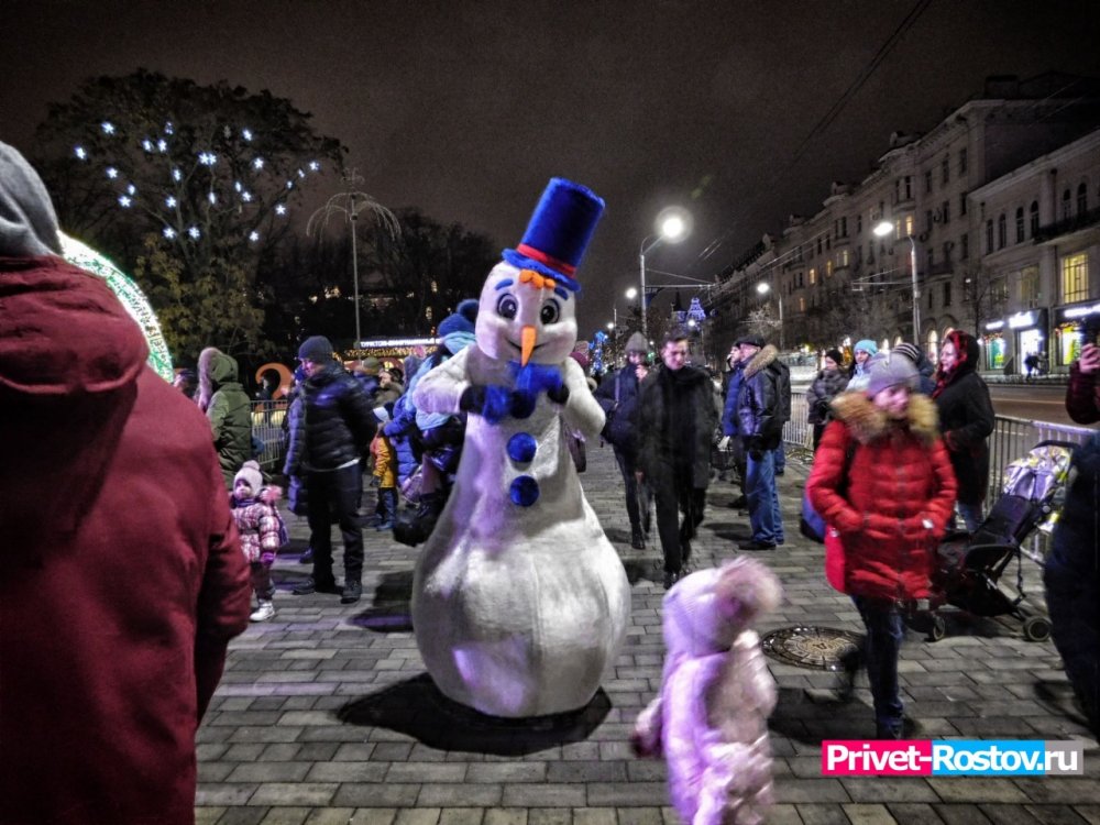 Главную новогоднюю елку в Ростове-на-Дону возьмут под усиленную охрану утром с 31 декабря