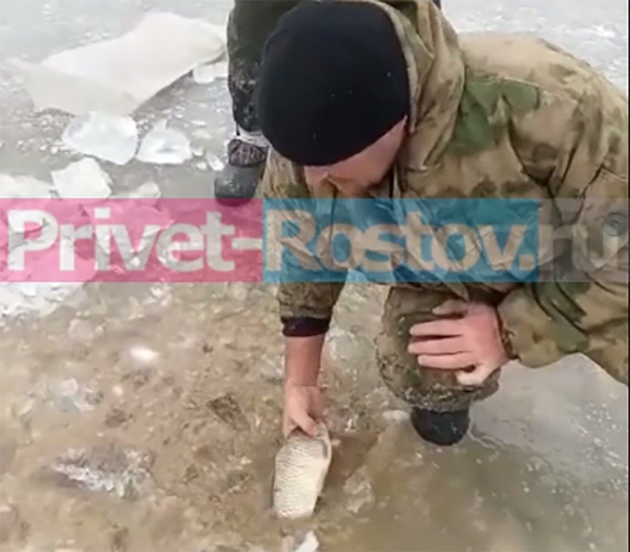 Ростовчан шокировало видео как рыбаки голыми руками достают сотни килограмм рыбы из замерзшего водоема в Волгодонске