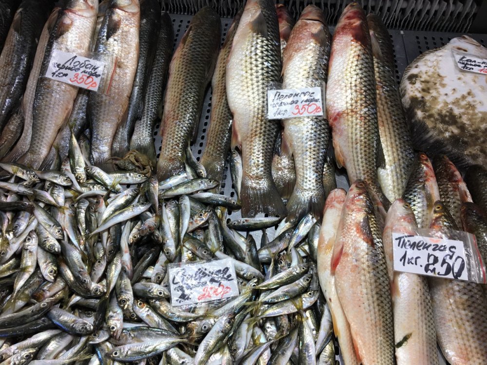Правительство планирует построить самый большой рынок с рыбой в Ростовской области