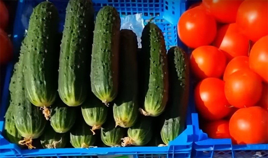 Огурцы и другие овощи резко подорожали в Ростове дороже 800 рублей за 1 кг в феврале