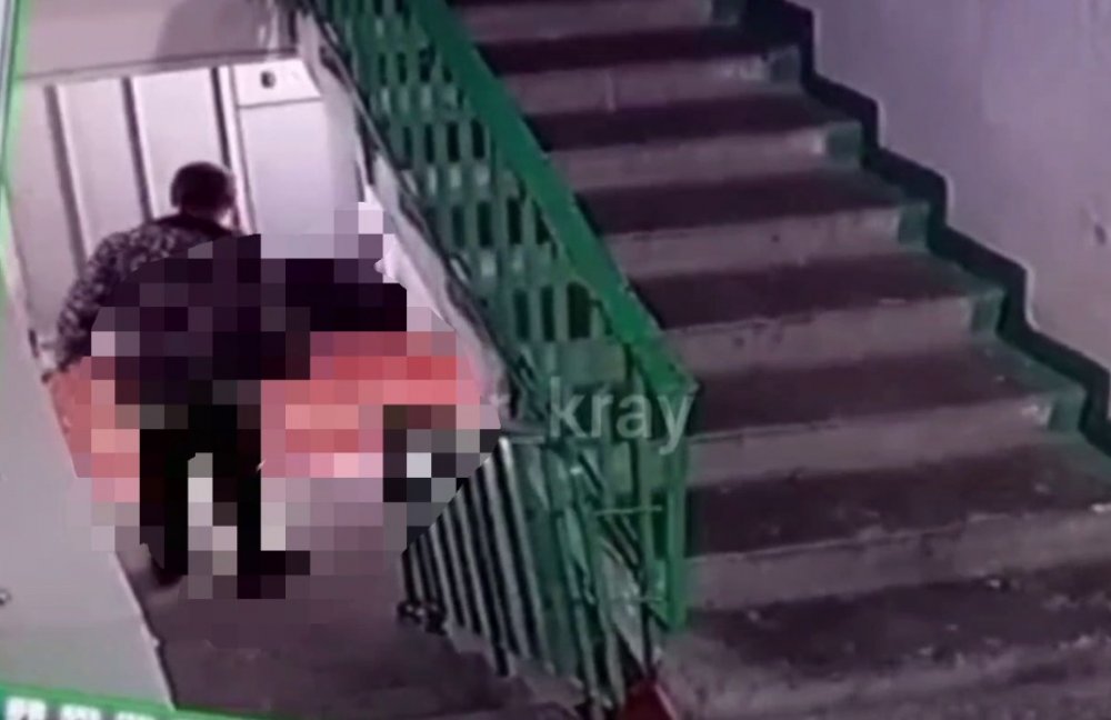 Мужчина напал с ножом на бездомную собаку в подъезде жилого дома в Новороссийске