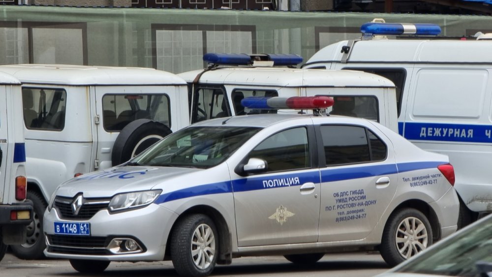 Розыск диверсанта, подбросившего в КамАЗ полиции гранаты, начат в Ростовской области