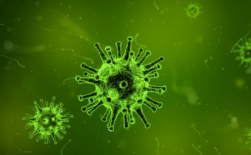Об опасности вируса-«зомби» способном заражать людей предупредили ученые
