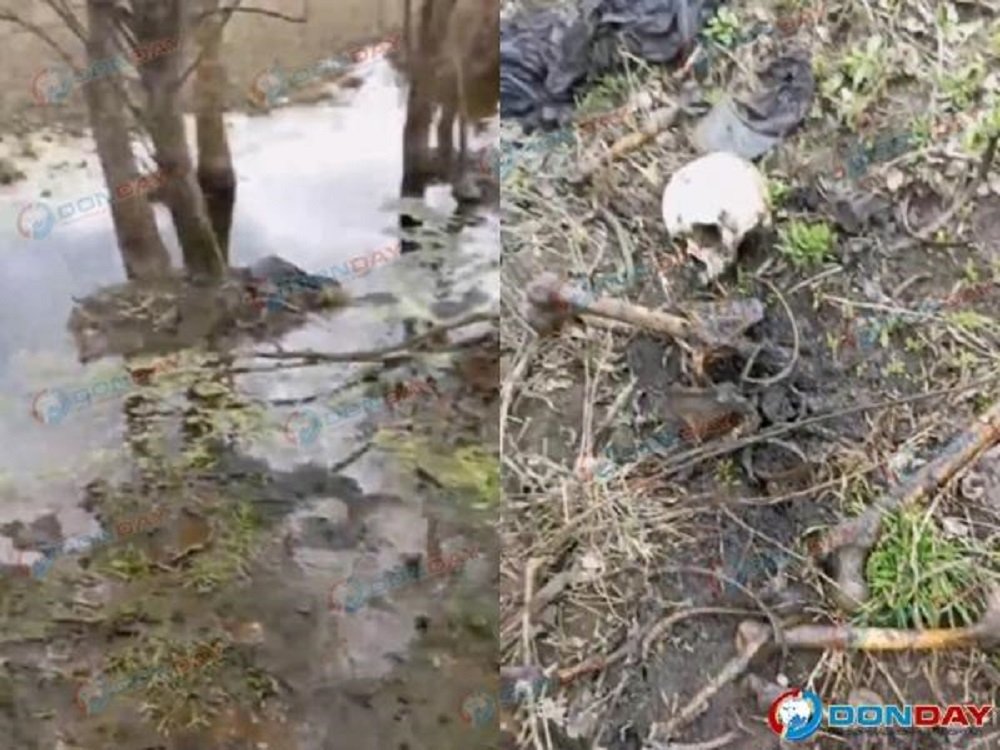 Разложившиеся останки человека обнаружены в Ростовской области
