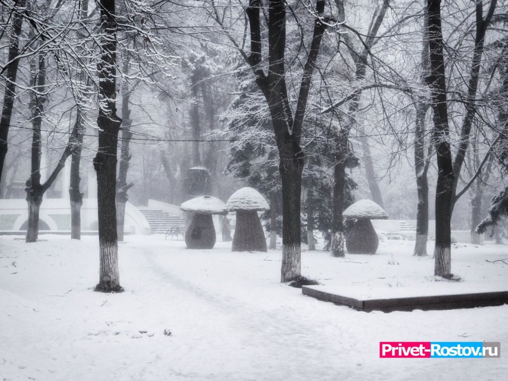 Снегопад в первый день весны в Ростовской области пообещали синоптики