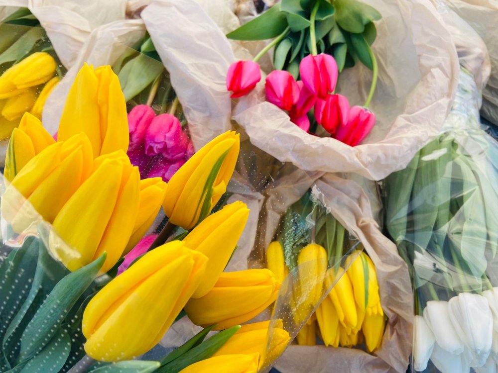 Продавцы цветов рассказали о ценах на тюльпаны в Ростове-на-Дону на 8 марта