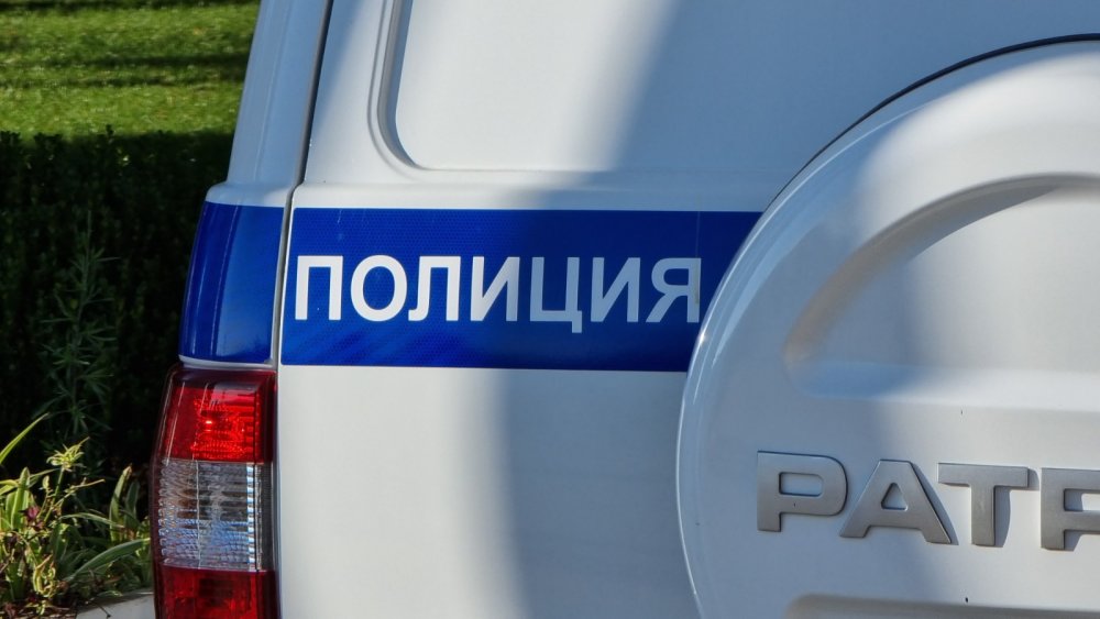 Под машину полиции угодила в Ростовской области женщина, пытаясь вытащить из нее брата-дебошира