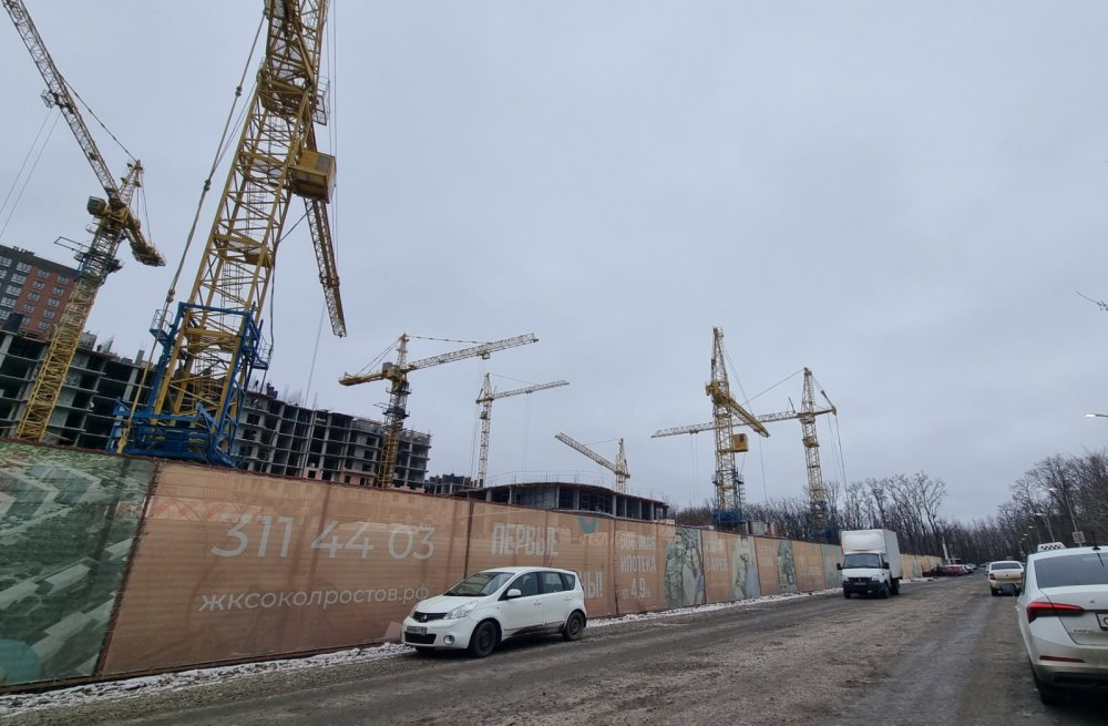 Жители в Ростове заявили, что после строительства ЖК «Сокол градъ» роща в Александровке превратилась в свалку
