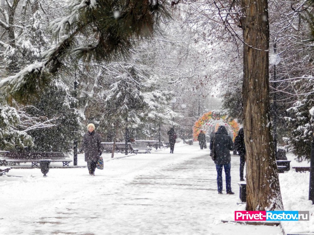 На сутки сильнейший снегопад накроет всю Ростовскую область, объявлено экстренное предупреждение