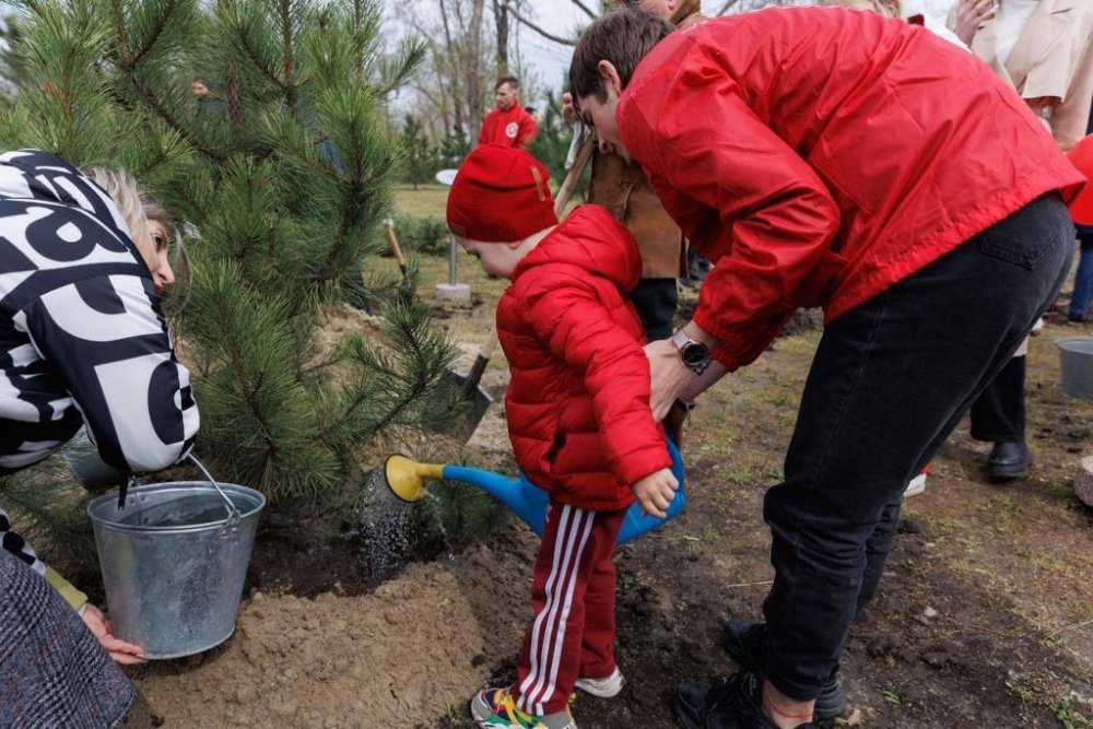 Более 9 000 растений высадили в Ростове-на-Дону в весенний День древонасаждения
