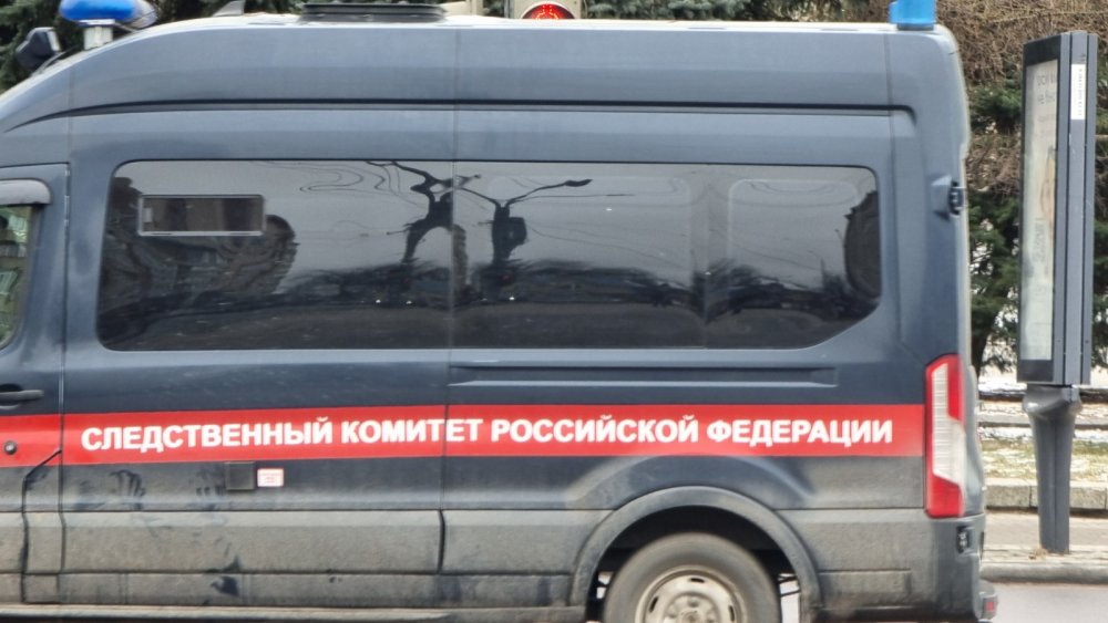 17-летнюю студентку зверски убили в Ростове на Бульваре Комарова в ночь на 9 апреля