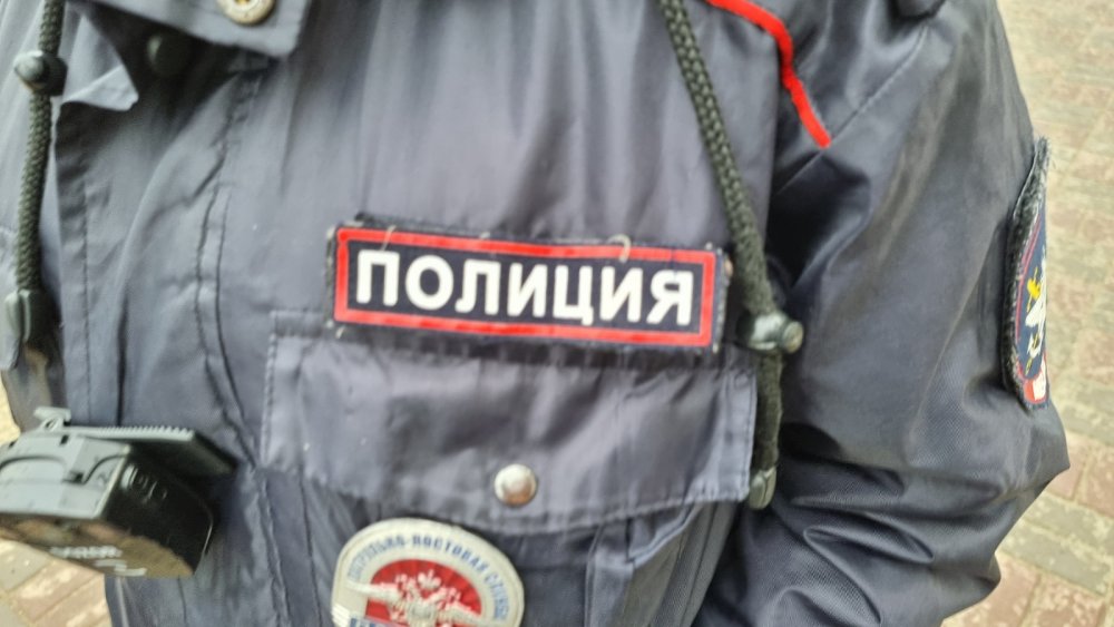 Еще 10 человек арестовали после визита замглавы МВД по делу об ОПГ в полиции Ростова
