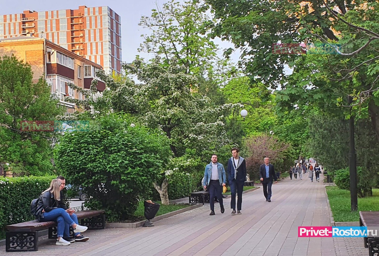 Проект для реконструкции улицы Пушкинская в Ростове разработают в 2024 году