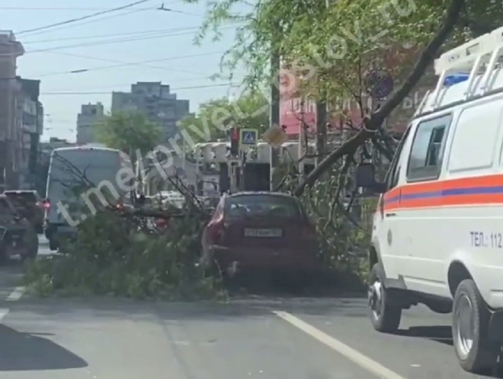 Дерево раздавило легковушку на Театральном проспекте в Ростове утром 18 мая