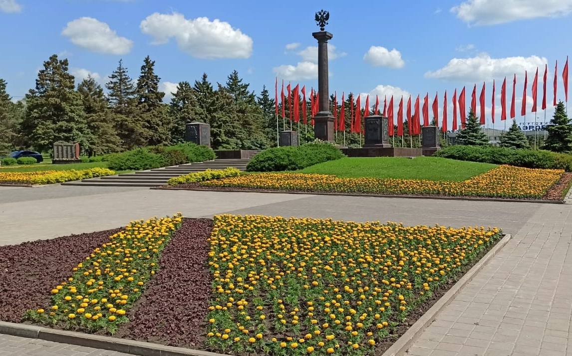 До середины июня в Ростове в 2023 году высадят почти один миллион цветов
