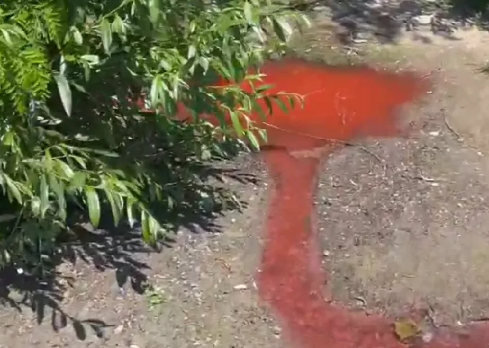 В Ростове власти разъяснили кто сбрасывал ярко-красную жидкость в реку Дон