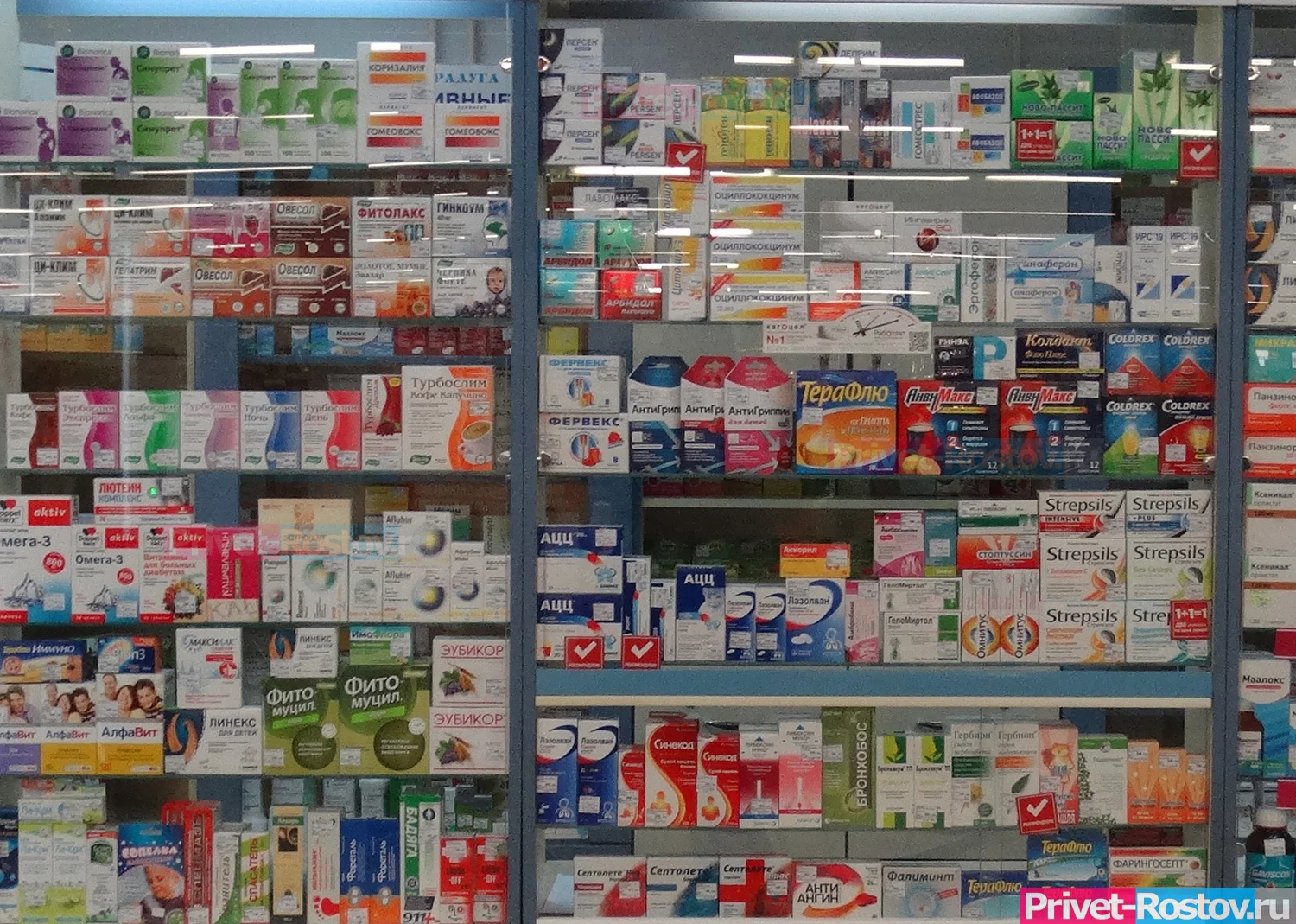 Зоозащитница разгромила аптеку в Таганроге, из-за продаж опиоидных препаратов без рецепта