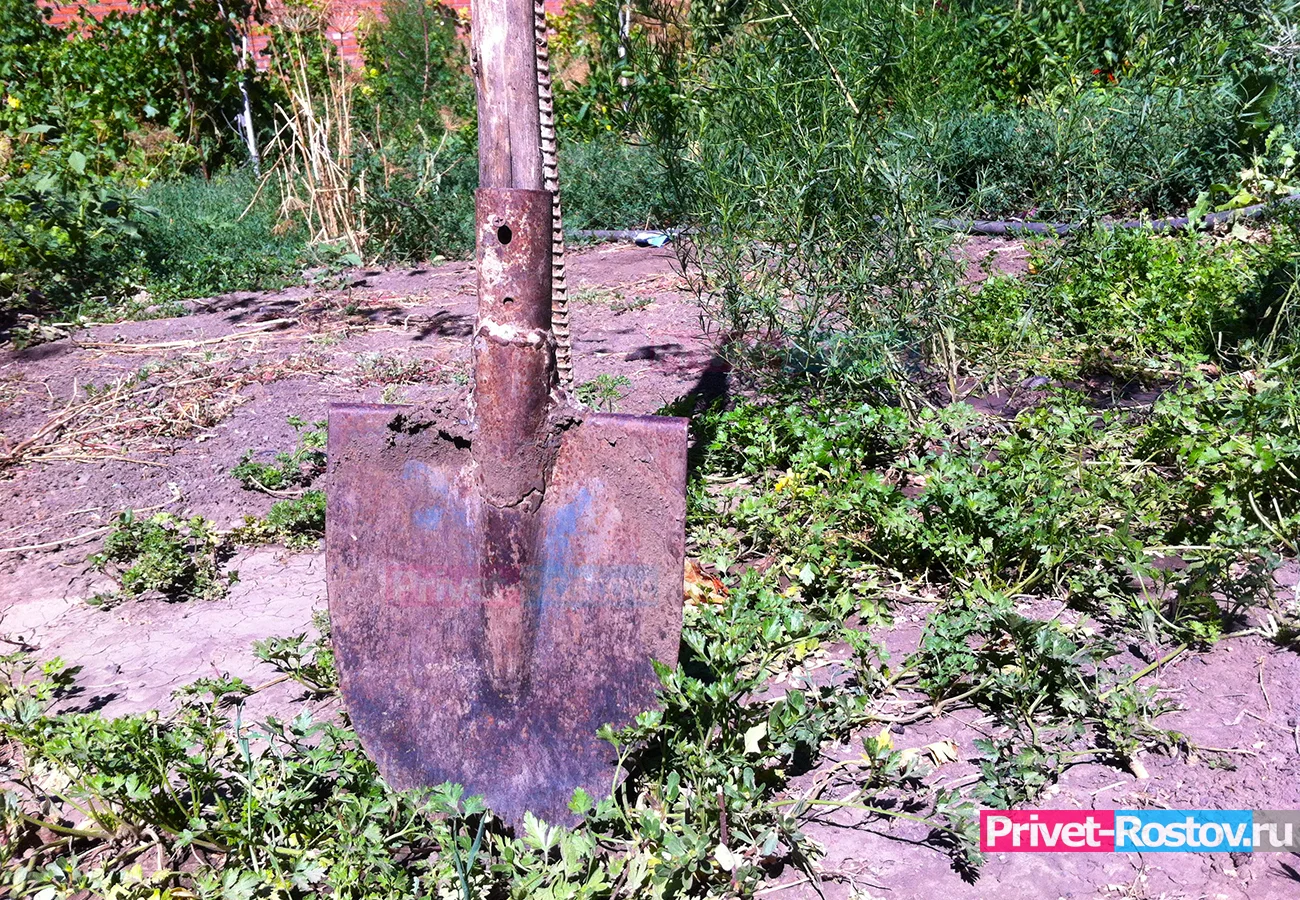 В Новочеркасске бизнесмен уничтожил древний сарматский курган с каменной бабой