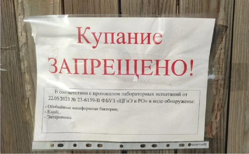 Всех жителей в Ростове предупредили о запрете купания в Дону из-за опасных бактерий в воде