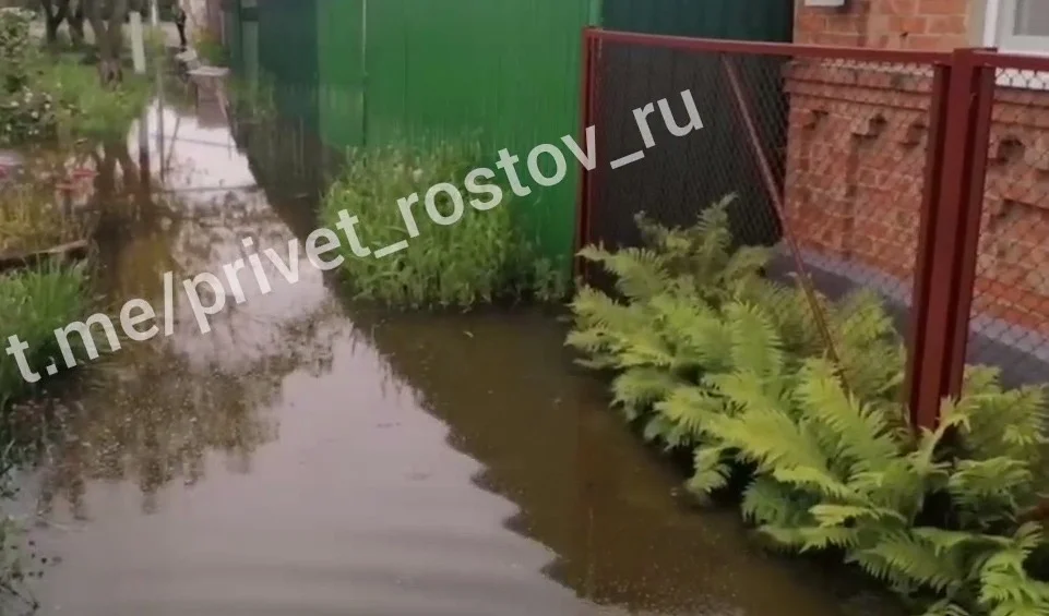 В затопленном Батайске в лужах завелась рыба в июне